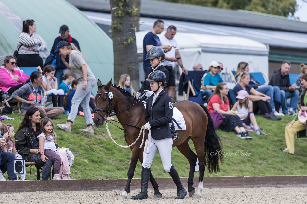 Bild 2 - Pony Akademie Turnier